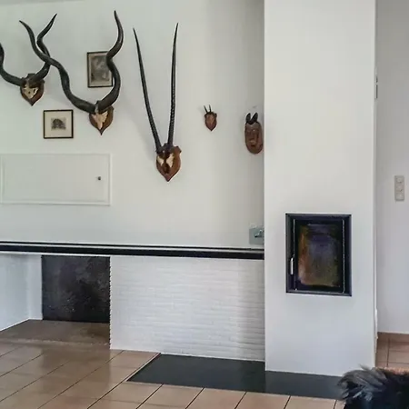With Fireplace Vii
